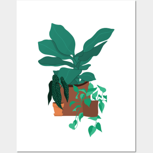 Plant Window Posters and Art